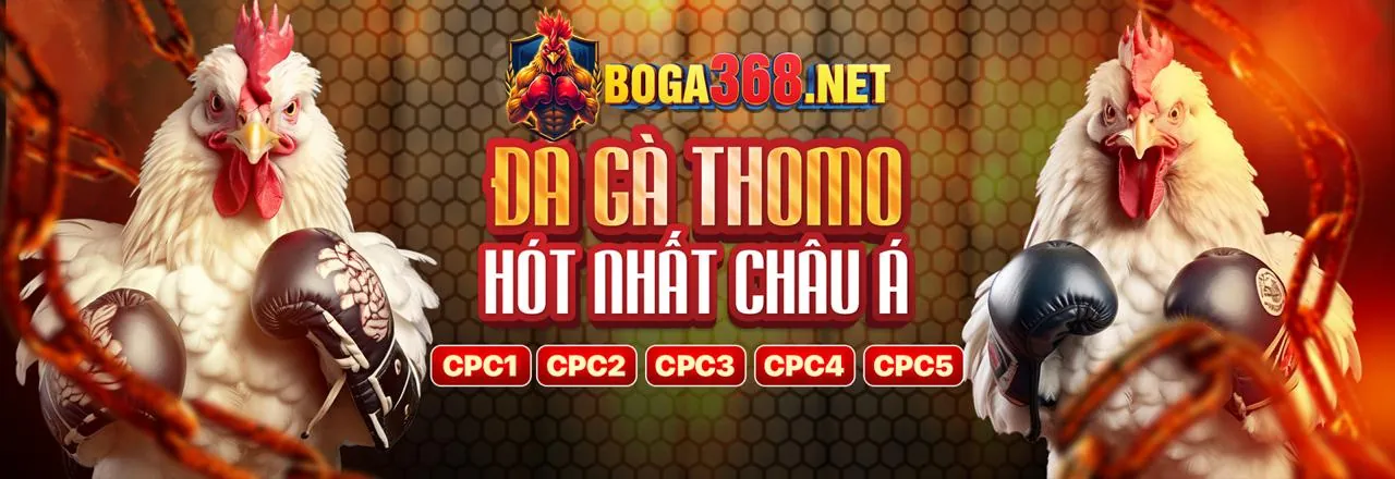 Hướng dẫn cài đặt ứng dụng thienhabet casino