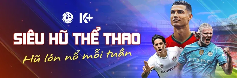 Biểu tượng không đuổi theo thua lỗ